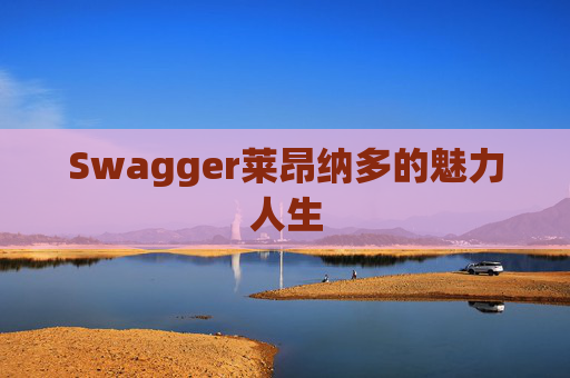 Swagger莱昂纳多的魅力人生